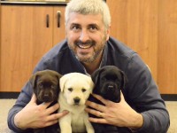 Labrador Retriever - Canisa CLAUSWEB